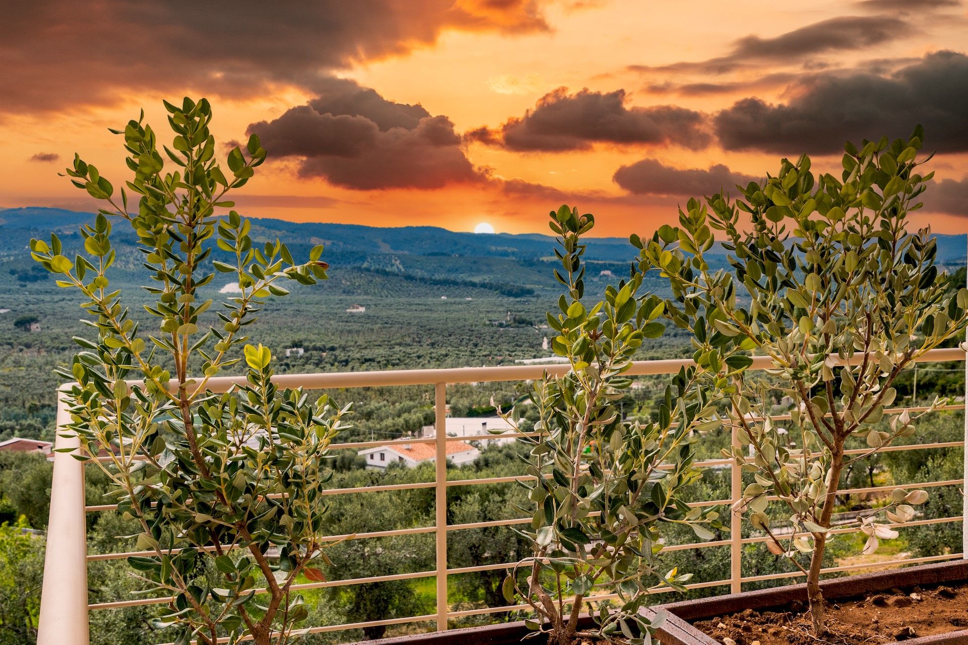 tramonti panoramici dalla Posta Del Guardiano Country House a Vieste nel Gargano vicino al mare