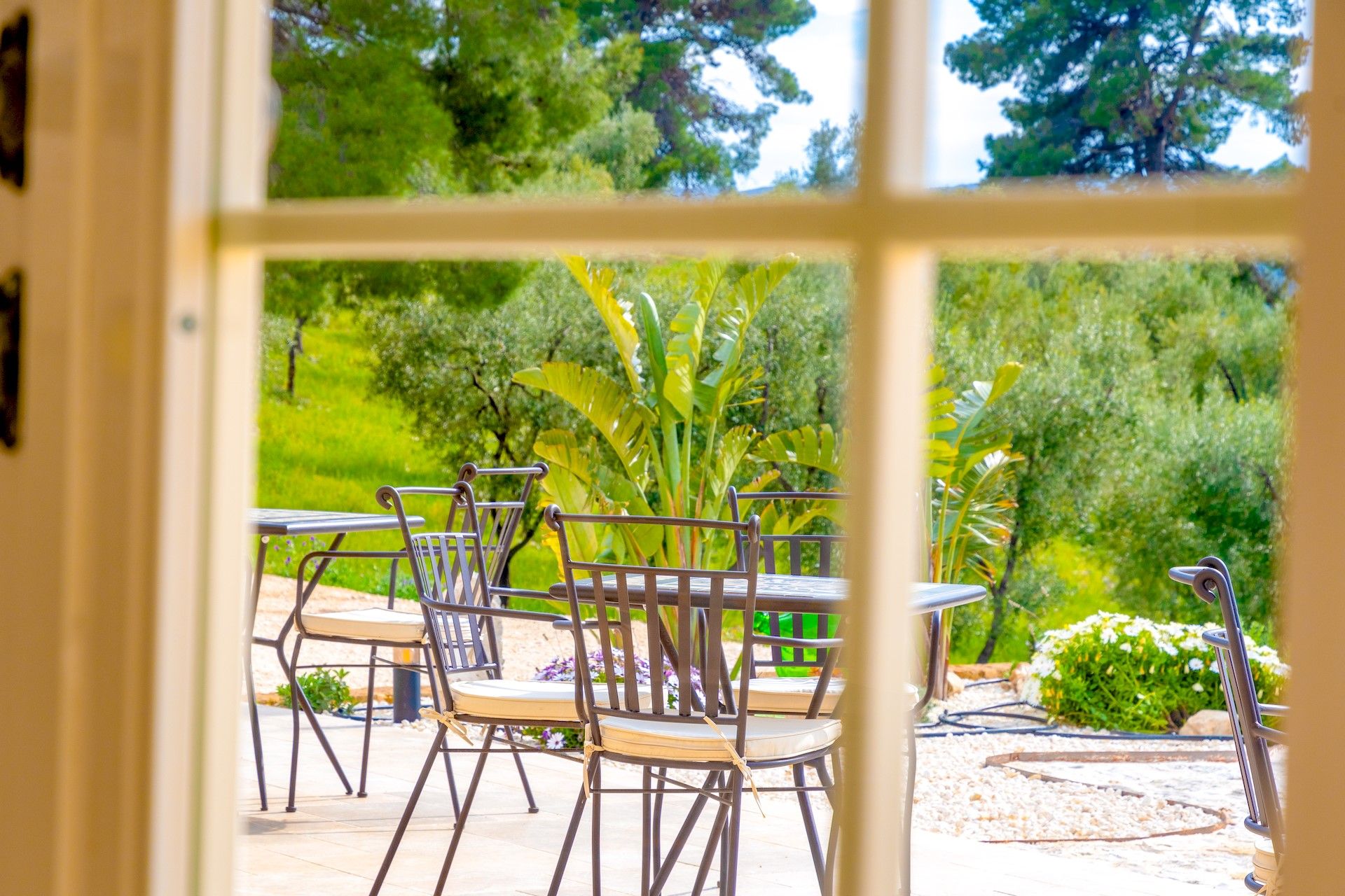 vista dall'interno La Posta Del Guardiano Country House a Vieste nel Gargano